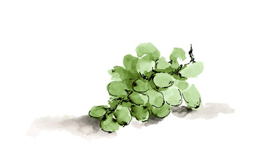 Green grape ink sketch. Hand drawn wine bunch of grapes. Illustration on the white background. - 275113832