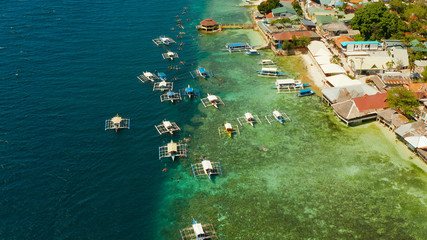 Tourists snorkeling over coral reef with clear blue ocean water, aerial view. Moalboal, Philippines. People swim in the transparent sea between coral reefs. Summer and travel vacation concept.