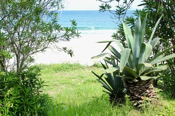 伊豆下田　美しい楽園”入田浜”