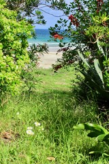 伊豆下田　美しい楽園”入田浜”