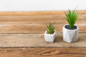 green plants in pot on wooden table