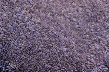 Dusty rug background