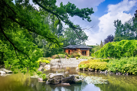 Japanese garden in summer time