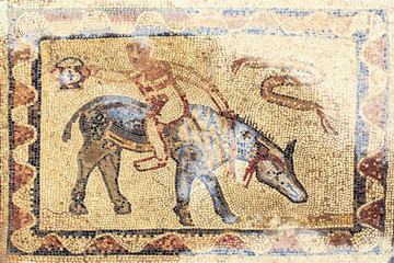 Naklejka premium Mosaic floors in Volubilis