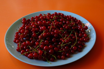 Red currant laying on a table.