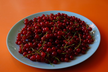 Red currant laying on a table.