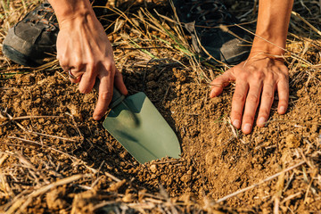 Soil Fertility Analysis. Female Agronomist Taking Soil Samples