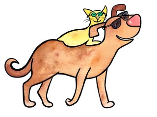 happy cat and dog walk with glasses