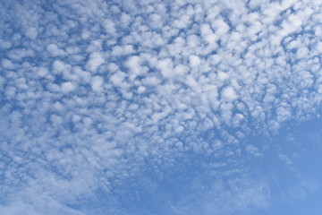 Fototapeta na wymiar blue background of sky with clouds