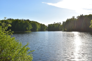 lake in deep forest