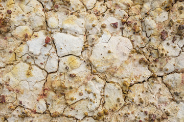 Ground cracks