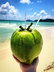 Beautiful ocean view with a coconut in hand.