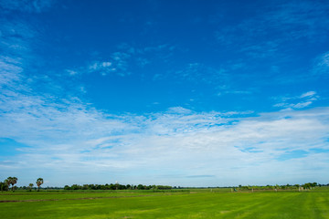 Blue sky background with green fields and white clouds.