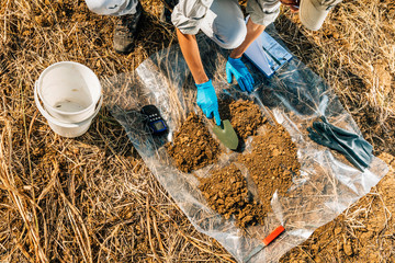 Soil Fertility Analysis. Female Agronomist Taking Soil Samples