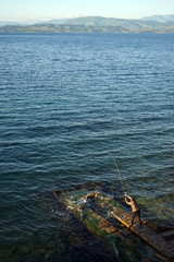 Fisherman on the coast