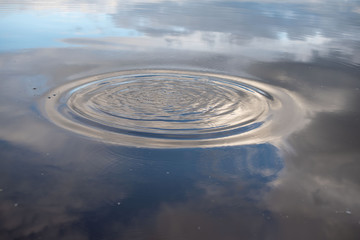 Fototapeta na wymiar circles on the water surface