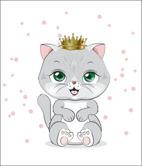 royal kitten