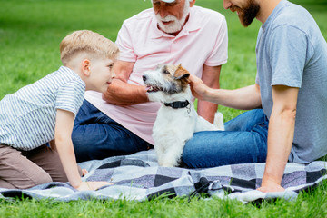 Grandfather, father and son and two dogs Jack russel terrier lying on the green grass in the summer park. Family Vacation. Generational connection. family, pet, love friendship and people concept