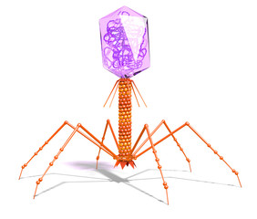 Bacteriophage with DNA. Scientifically accurate 3D illustration