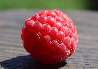 Close-up of ripe raspberries on a beautiful background.