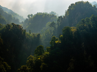 Jungle View on Hazy Light, Ridges and Layers of Forest Backlit