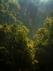 Fototapeta na wymiar Jungle View on Hazy Light, Ridges and Layers of Forest Backlit