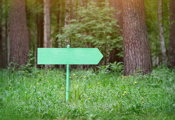 Empty road sign in forest or park. Sign arrow rural scenery in forest. pointer to route, goals, choice of direction. Summer season, travel, tourism concept. copy space.