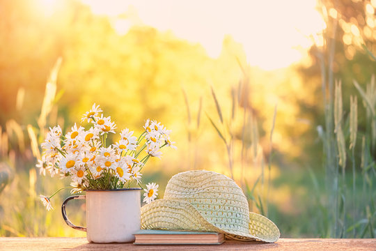 beautiful daisies in white cup, book, braided hat in summer garden. Rural landscape natural background with  Chamomile flowers in sunlight. Summer time. copy space