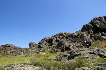 Amazing vegetation in rocky terrain on the way to the mountains