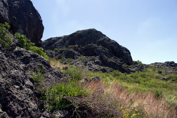 Amazing vegetation in rocky terrain on the way to the mountains