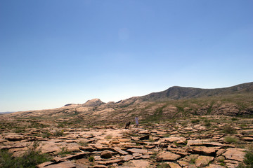 Amazing vegetation in rocky terrain on the way to the mountains
