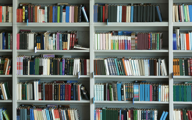 View of shelves with books in library - obrazy, fototapety, plakaty