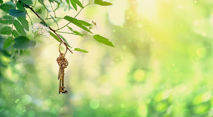 vintage gold key in forest tree. magical composition with beautiful key in nature, concept secret garden, summer gentle mystery background. banner for website.  copy space - obrazy, fototapety, plakaty