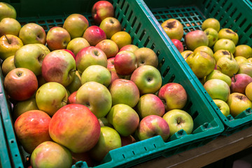 delicious juicy apples on the supermarket counter