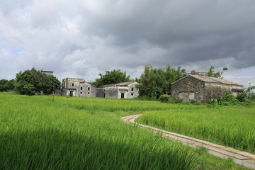 Fototapeta na wymiar traditional chinese garden design in small village: green field with the curves road to the house. rural landscape around at Kaiping Diaolou site or watchtower site, unesco world heritage site area
