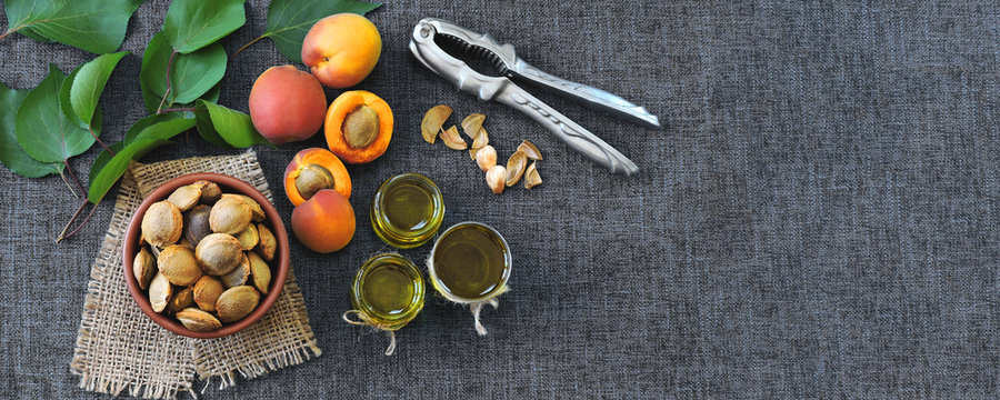 Banner. Apricot kernel oil. Apricots, apricot leaves and bones. The concept of extraction of oil from apricot kernels. Healthy food and diet.
