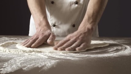 Professional cook preparing a delicious fresh pizza