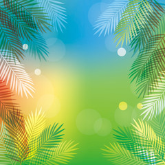Fototapeta na wymiar background of Palm leaves