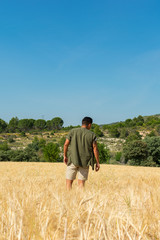 Naklejka na ściany i meble Man from back in a field in summer