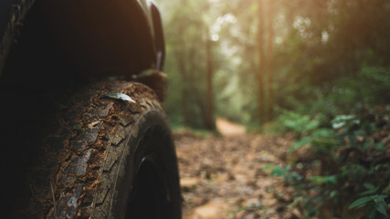 Off-road vehicles drive on the dirt road in the forest with warm light.