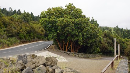 curvy serpentine roads on teide volcano