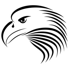 Linear Drawing Eagle