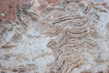 The stone from the sea has a unique undulating texture.