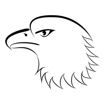 Linear Drawing Bald Eagle