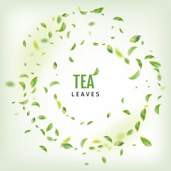 Flying Fresh Green Tea Leaves Vector Background
