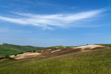 paesaggio basso molise