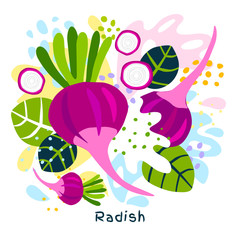 Fresh radish vegetable juice splash organic food vegetables condiment spice splatter on abstract coloful splatter splash background vector hand drawn illustrations