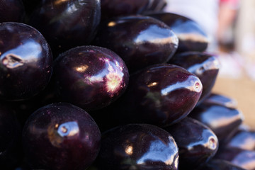 Fresh eggplant on market counter