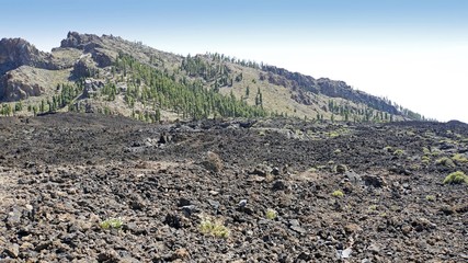 rough volcanic landscpae on teide volcano