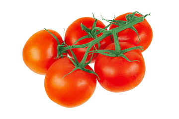 A sprig of tomato on a white background.